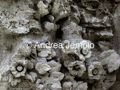 Fontana dei Fiumi Rappresentazione in marmo della vegetazione | Andrea Jemolo