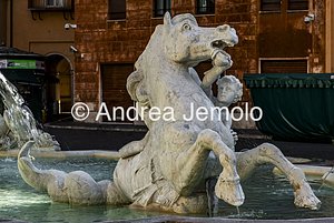 Fountain of Neptune Seahorse | Andrea Jemolo