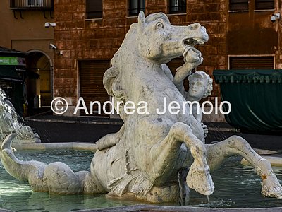 Fountain of Neptune Seahorse | Andrea Jemolo