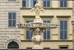 Fontane di piazza Farnese Heraldic lily of the Farnese of the southern fountain | Andrea Jemolo