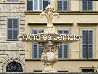 Fontane di piazza Farnese Giglio araldico dei Farnese della fontana meridionale | Andrea Jemolo