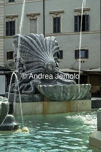 Fountain in Piazza Santa Maria in Trastevere Shell-shaped tub with valves | Andrea Jemolo