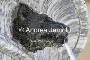 Fountain in Piazza Santa Maria in Trastevere Wolf's head, from whose jaws the water falls into the tub below | Andrea Jemolo