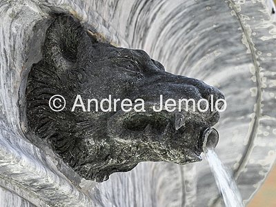 Fontana in piazza Santa Maria in Trastevere Testa di lupo, dalle cui fauci l'acqua cade nella vasca sottostante | Andrea Jemolo