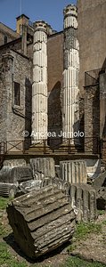 Temple of the Nymphs Overview of the Temple | Andrea Jemolo