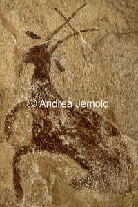 Roman latrine in via Garibaldi Ibex in a rampant position | Andrea Jemolo