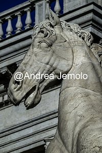 Campidoglio Dioscuri - La testa del cavallo | Andrea Jemolo