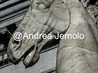 Campidoglio Dioscuri - La testa del cavallo | Andrea Jemolo