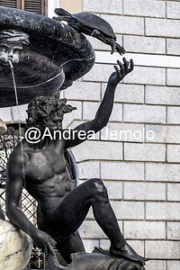 Fontana delle Tartarughe in Piazza Mattei Fontana delle Tartarughe - Gli efebi, le tartarughe | Andrea Jemolo