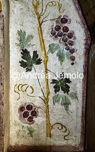 Colombari via Pescara, via Taranto Colombario N° 1 via Pescara, via Taranto - Affresco di grappoli d'uva | Andrea Jemolo