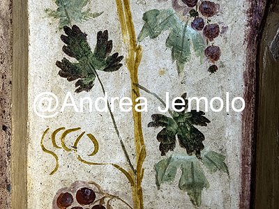 Colombari via Pescara, via Taranto Colombario N° 1 via Pescara, via Taranto - Affresco di grappoli d'uva | Andrea Jemolo
