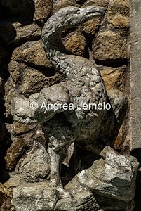 Villa Sciarra Fontana dei Satiri o Fontana dei Fauni - Uccello acquatico | Andrea Jemolo