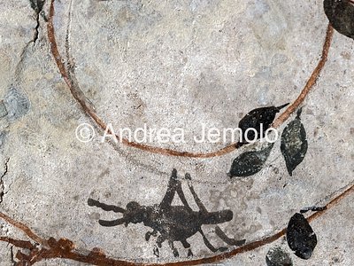 Colombario di Pomponio Hylas Volta affrescata - Particolare con un grillo | Andrea Jemolo