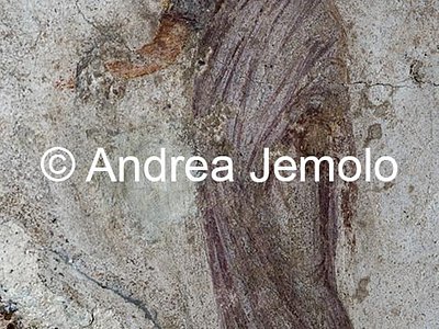 Colombario di Pomponio Hylas  | Andrea Jemolo