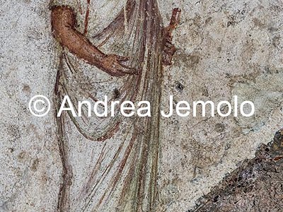 Colombario di Pomponio Hylas  | Andrea Jemolo