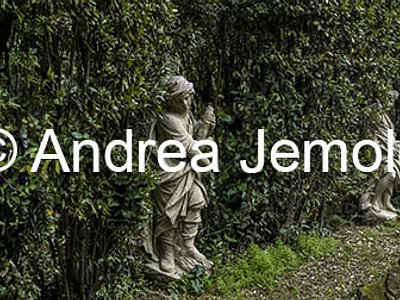 Villa Sciarra Esedra Arborea con le 12 statue di arenaria che raffigurano i mesi | Andrea Jemolo