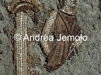 Criptoportico delle Terme di Traiano Mosaico parietale più grande mai rinvenuto nel mondo antico - Fascia superiore | Andrea Jemolo