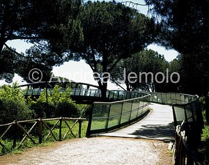 Ponte pedonale di Villa Pamphili Dal parco - lato ovest | Andrea Jemolo