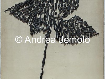 Museum Brandhorst Untitled, Rose | Andrea Jemolo