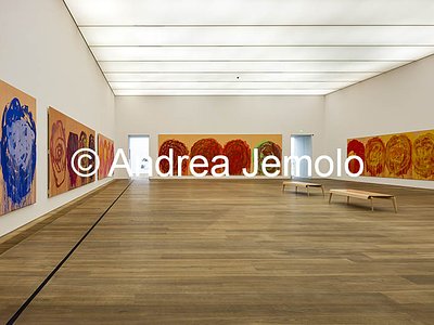 Museum Brandhorst Untitled (Roses) cycle | Andrea Jemolo