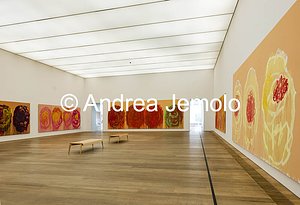 Museum Brandhorst Untitled (Roses) cycle | Andrea Jemolo