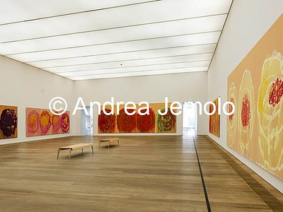 Museum Brandhorst Untitled (Roses) cycle | Andrea Jemolo
