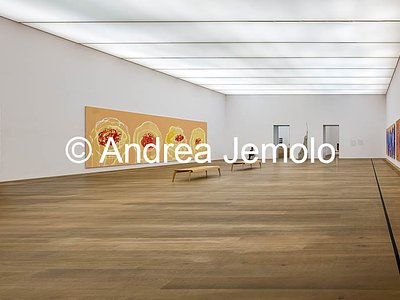 Museum Brandhorst Untitled (Roses) cycle | Andrea Jemolo