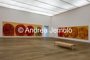 Museum Brandhorst Untitled (Roses) cycle | Andrea Jemolo