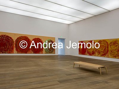 Museum Brandhorst Untitled (Roses) cycle | Andrea Jemolo