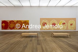 Museum Brandhorst Untitled (Roses) cycle | Andrea Jemolo