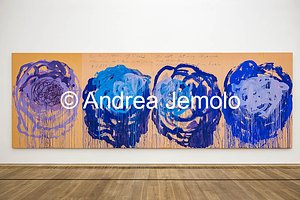 Museum Brandhorst Untitled (Roses) | Andrea Jemolo