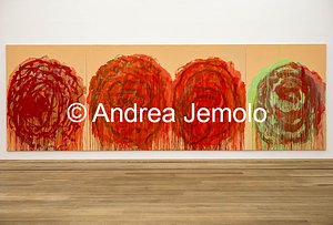 Museum Brandhorst Untitled (Roses) | Andrea Jemolo