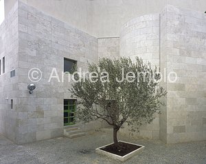 Cappella di San Tommaso d'Aquino a Tor Vergata Corte con albero d'ulivo | Andrea Jemolo