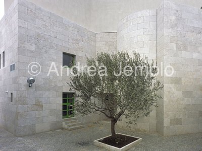Chapel of San Tommaso d'Aquino in Tor Vergata Court with tree of olive | Andrea Jemolo