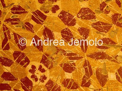 Church Decoration of the vault | Andrea Jemolo