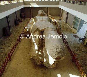 Colosso di Ramses II Veduta d'insieme | Andrea Jemolo