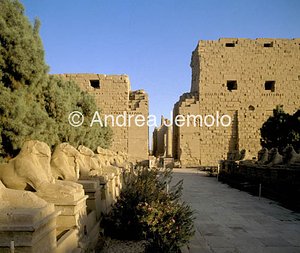 Tempio di Amon Viale con sfingi | Andrea Jemolo