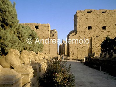 Temple of Amon Avenue with sphinxes | Andrea Jemolo