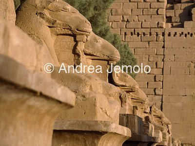Temple of Amon Avenue with sphinxes | Andrea Jemolo
