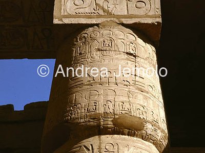 Temple of Amon Capital papyriform | Andrea Jemolo