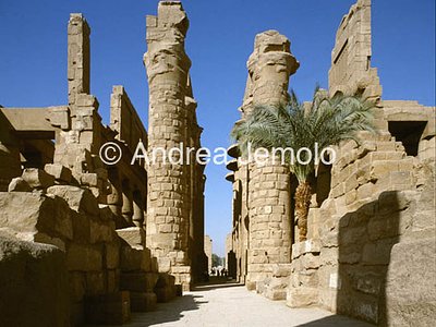 Temple of Amon Hypostyle hall | Andrea Jemolo