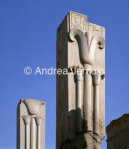 Tempio di Amon Pilastri con loto e papiro | Andrea Jemolo