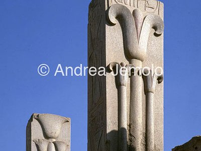 Temple of Amon Pillars with lotus and papyrus | Andrea Jemolo