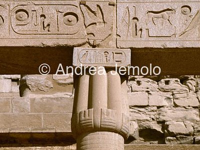 Temple Capital closed papyriform | Andrea Jemolo
