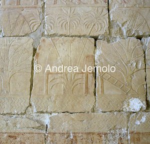 Il tempio funerario di Hatshepsut Spedizione in Somalia | Andrea Jemolo