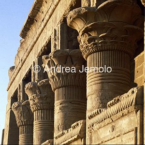 Mammisi romano Capitelli hatorici | Andrea Jemolo