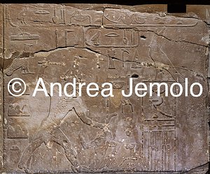 Egyptian museum Commemorative relief of Sneferu King | Andrea Jemolo