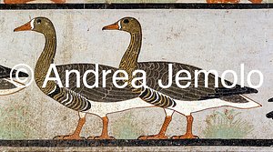 Museo Egizio Oche di Medum | Andrea Jemolo