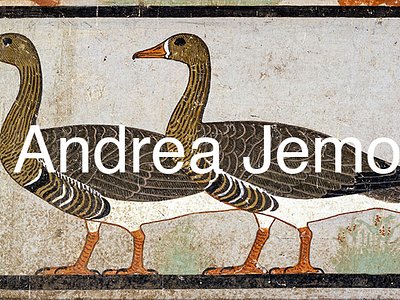 Egyptian museum Geese of Medum - Detail | Andrea Jemolo