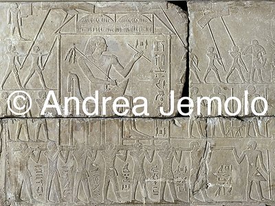 Egyptian museum Bas-relief from the mastaba of Ipy, Saqqara | Andrea Jemolo